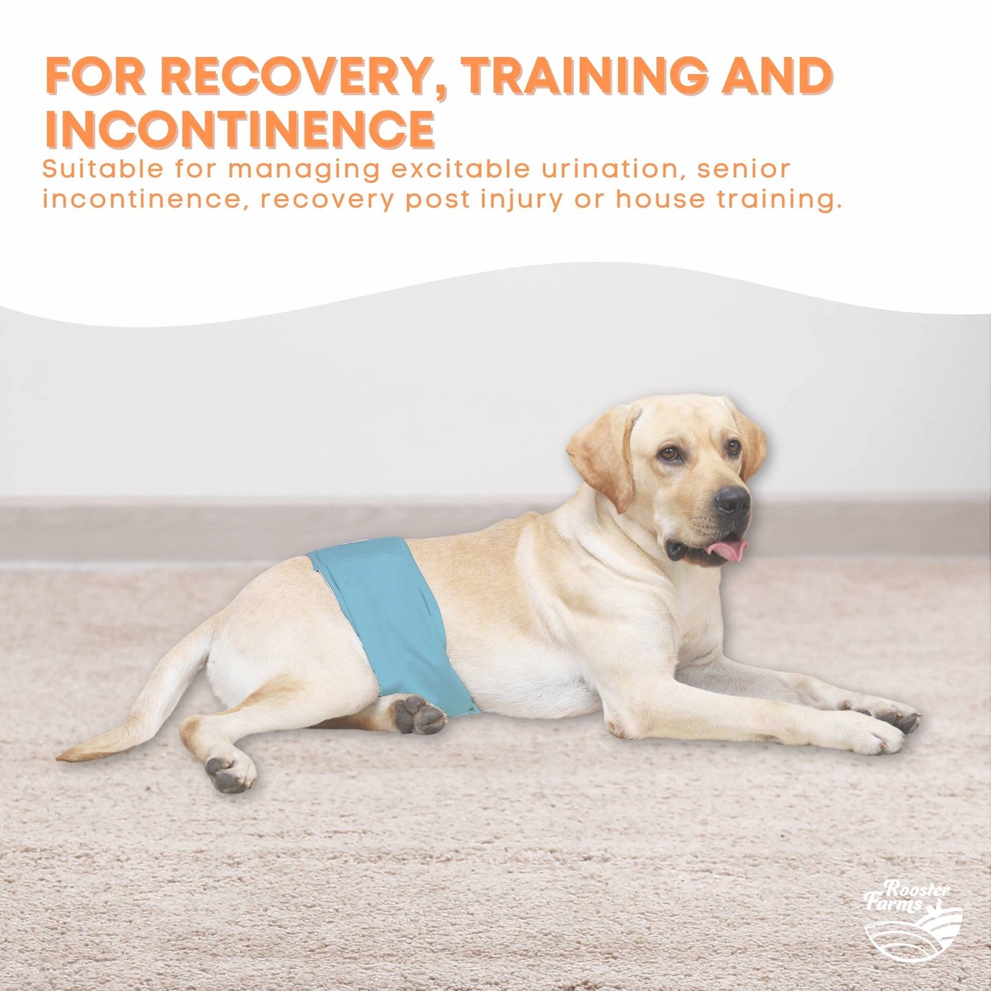 Rooster Farms Male Dog Diapers Small 3Pk - Washable Reusable Nappies Hook/Loop